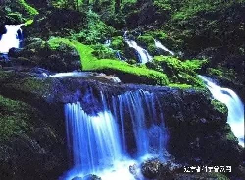 漂亮公主填色